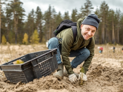 Mann im Wald beim Pflanzen eines jungen Baumes