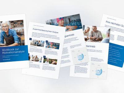 Visualisierung der Motivationsanalyse