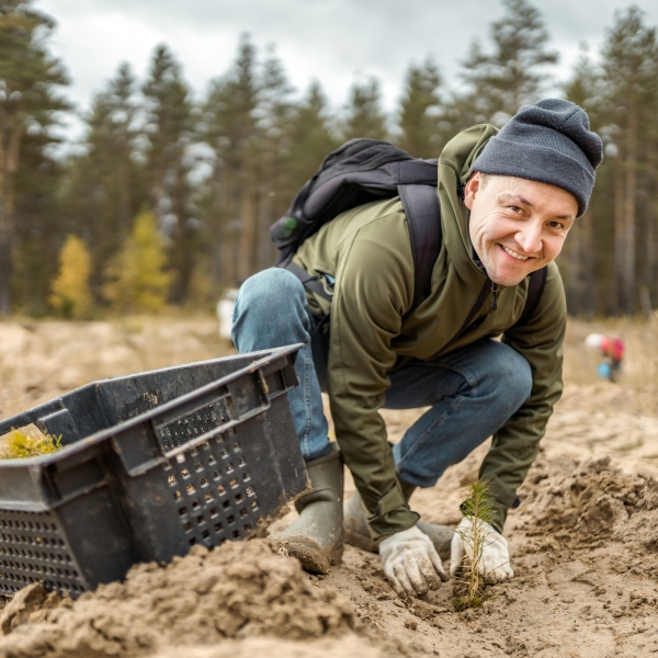 Mann im Wald beim Pflanzen eines jungen Baumes